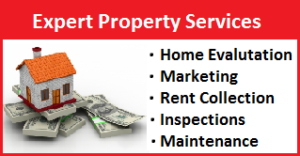 Expert Property Services