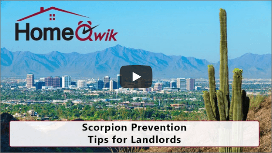 Scorpion Prevention Tips for Landlords – Property Management Phoenix