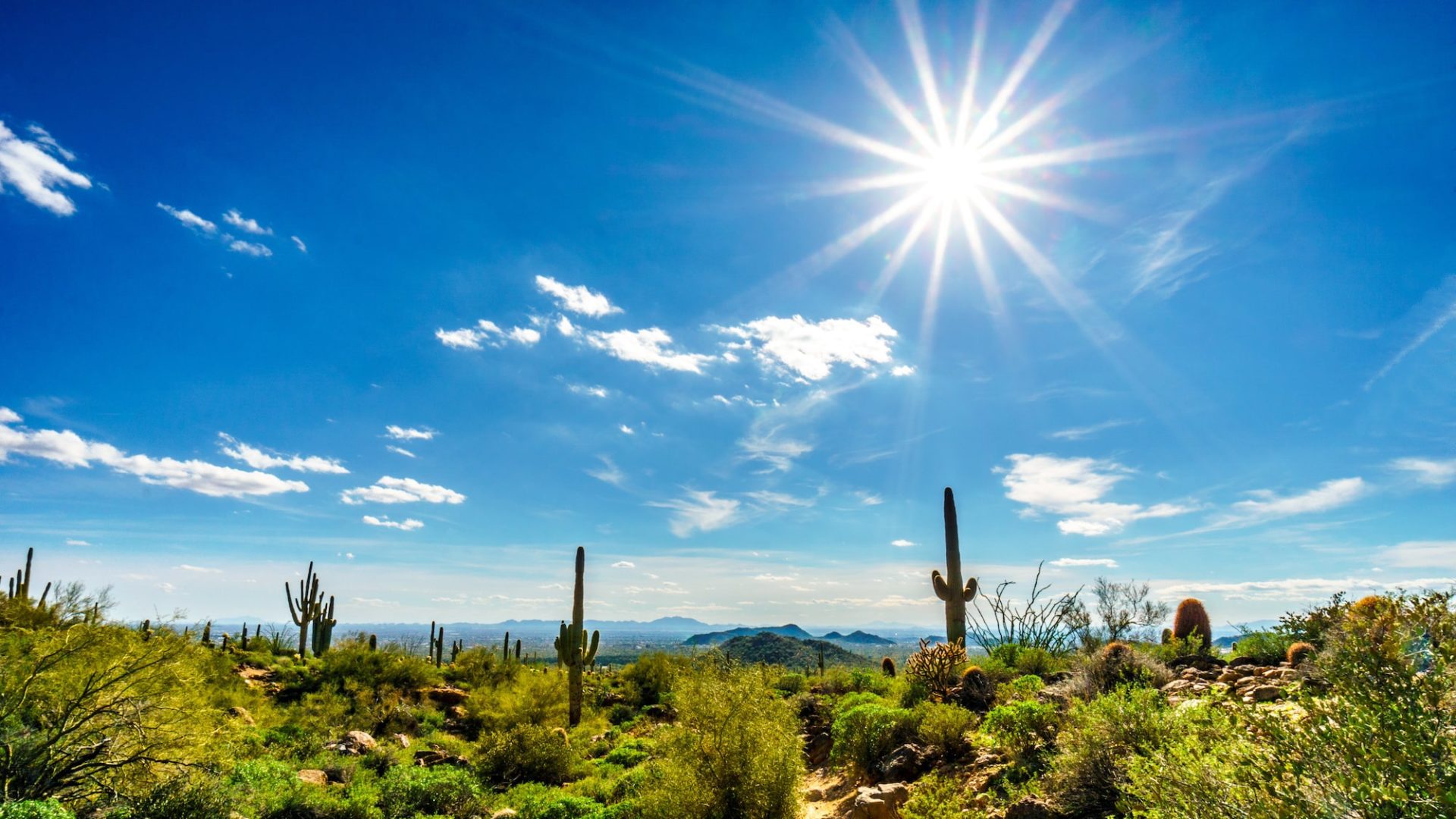 The sun shining in a blue sky overlooking a green desert with cacti, near the neighborhoods that HomeQwik provides Arizona property management 